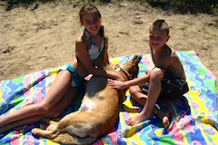 Enjoying the Sand Beach